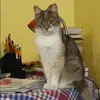 Отзыв от Катюша Ильинская